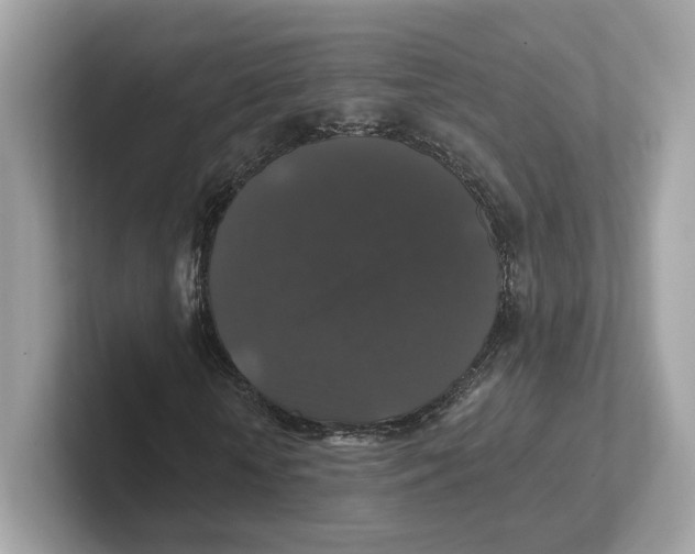 X0000101450818200807280937