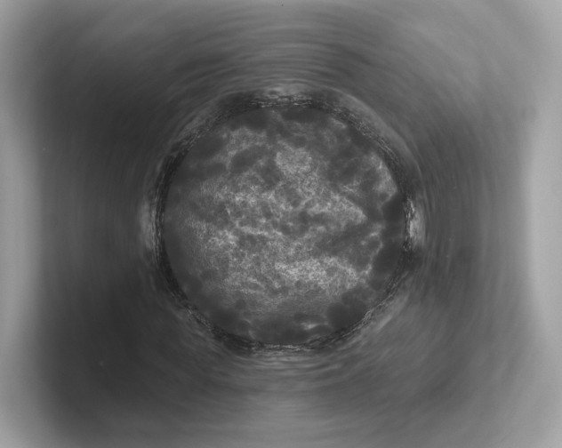 X0000101450819200807280937