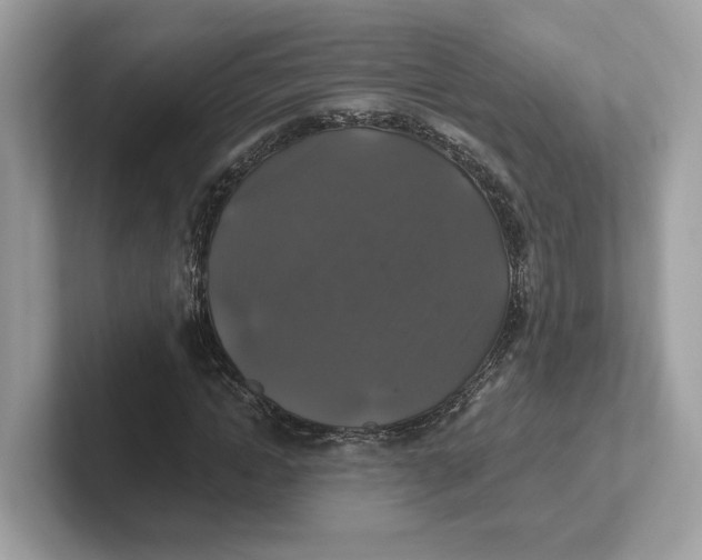 X0000101450822200807280937