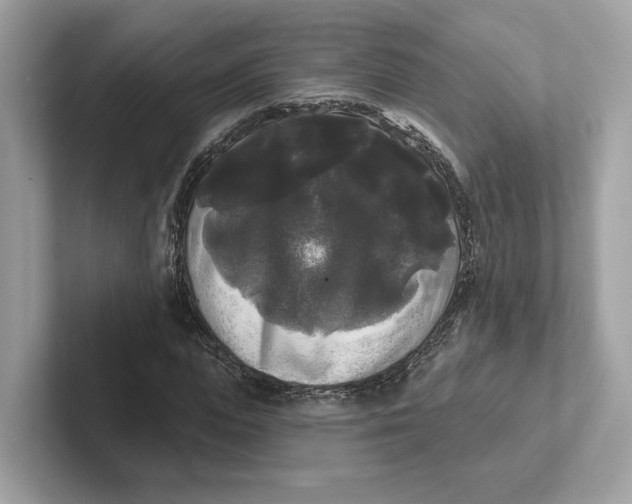 X0000101450823200807280937