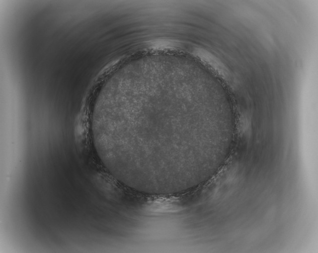 X0000101450824200807280937