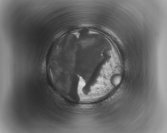 X0000101450825200807280937