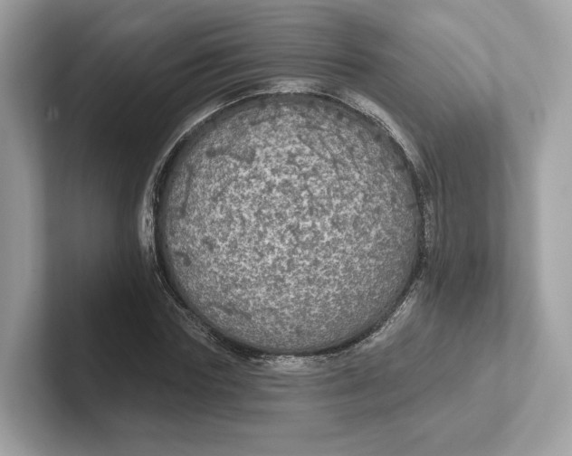 X0000101450827200807280937