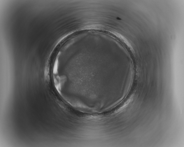 X0000101450830200807280937