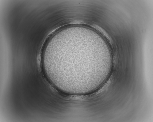 X0000101450831200807280937