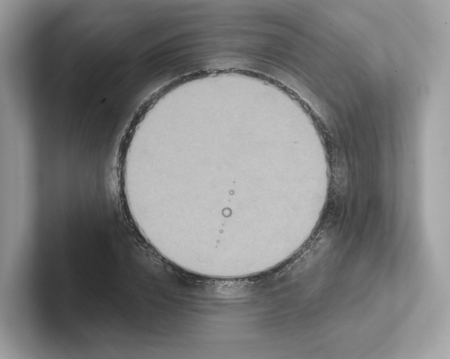 X0000101450832200807280937