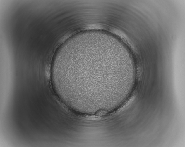 X0000101450833200807280937