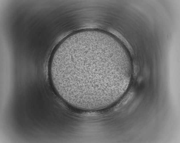 X0000101450834200807280938