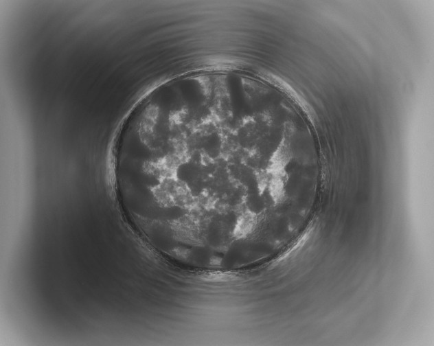 X0000101450835200807280938