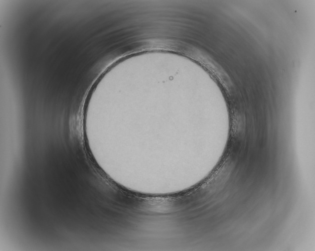 X0000101450836200807280938