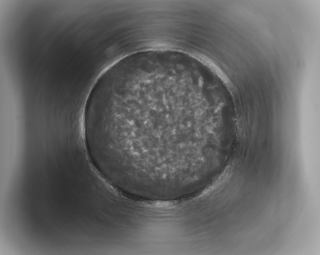 X0000101450839200807280938