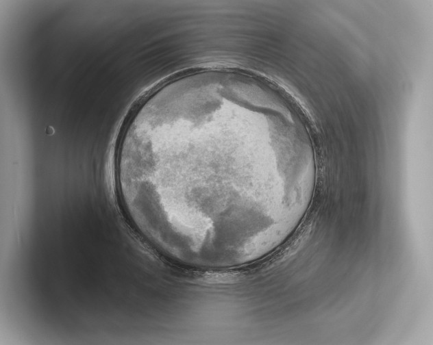 X0000101450840200807280938