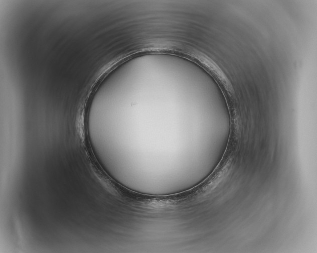 X0000101450842200807280938