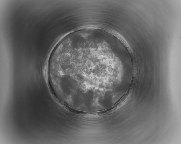 X0000101450844200807280938