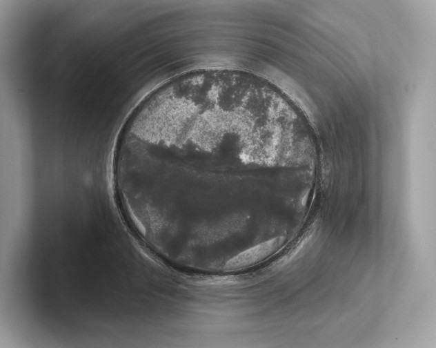 X0000101450845200807280938