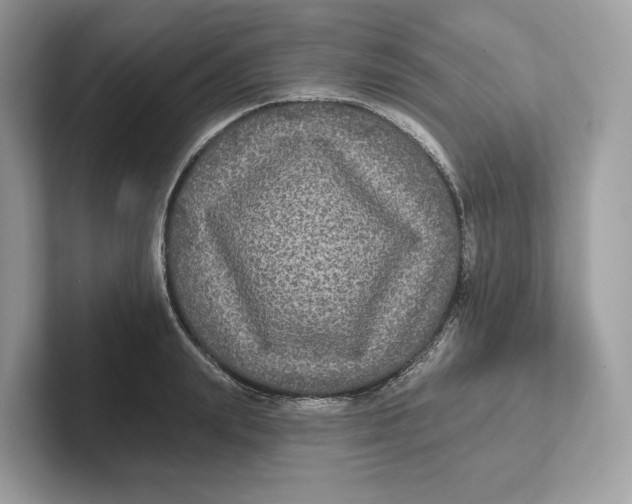 X0000101450847200807280938