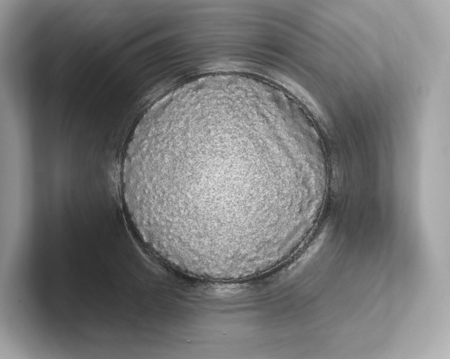 X0000101450849200807280938