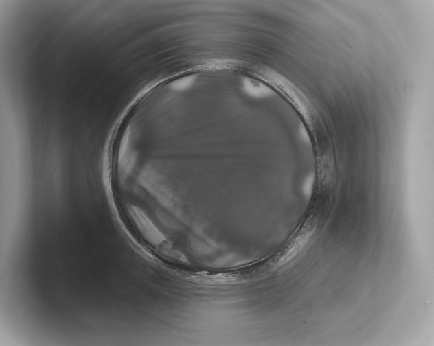 X0000101450851200807280938