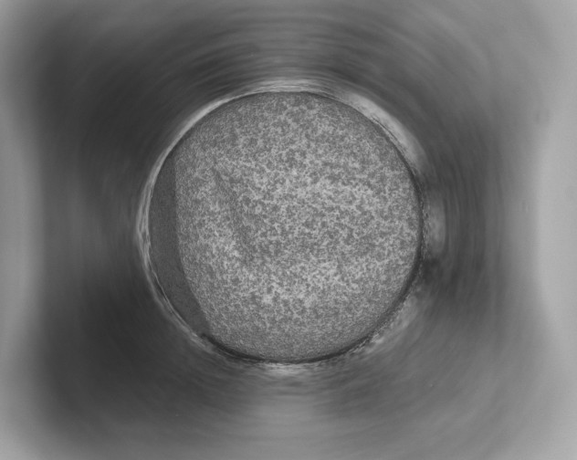 X0000101450852200807280938