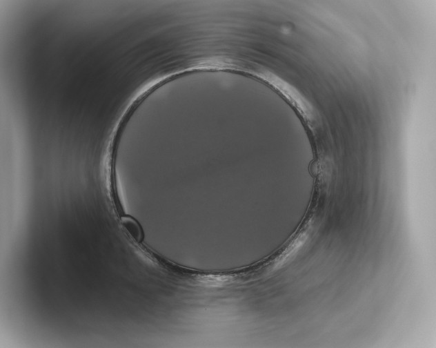 X0000101450854200807280938