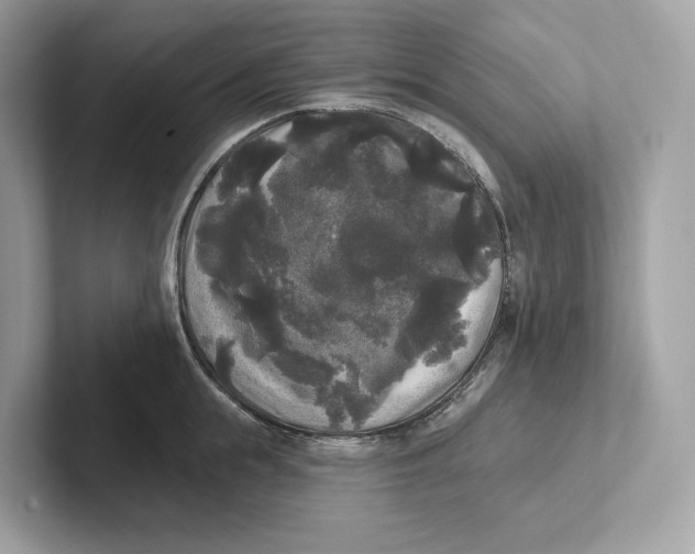 X0000101450855200807280938