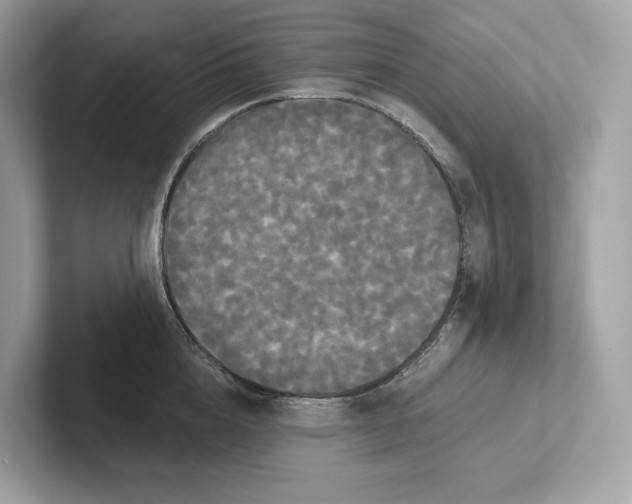 X0000101450856200807280938