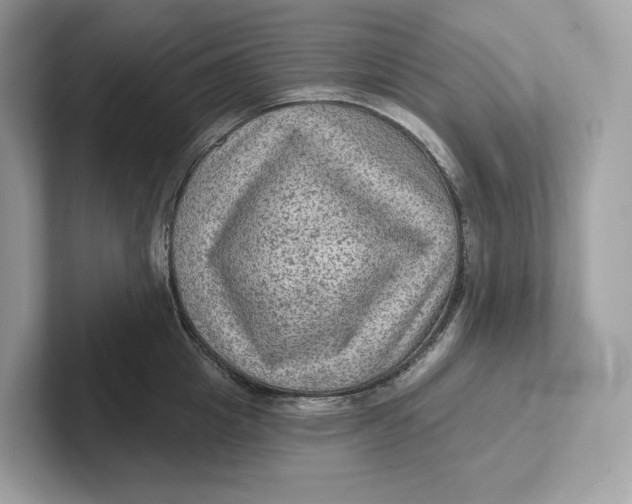 X0000101450857200807280938