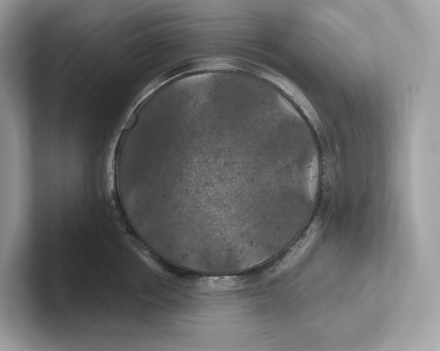 X0000101450858200807280938