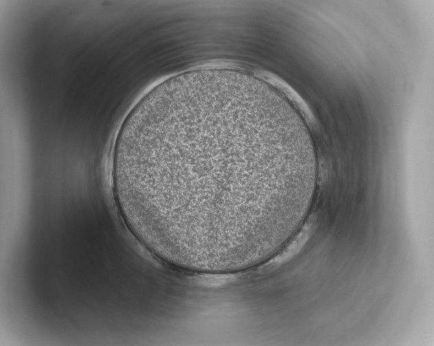 X0000101450860200807280938