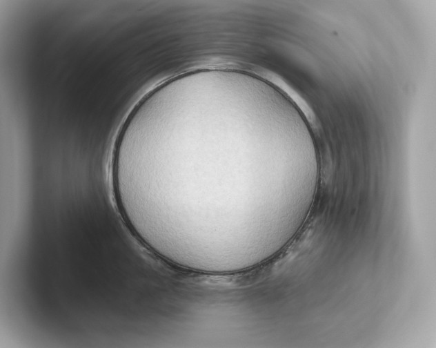 X0000101450861200807280938