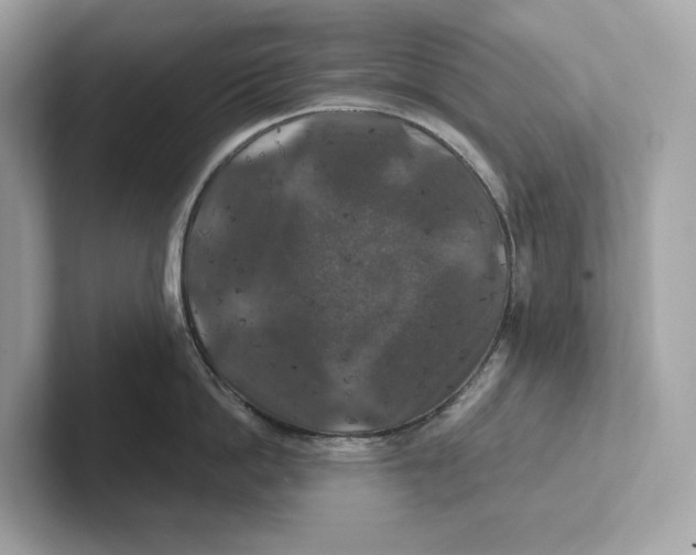 X0000101450862200807280938