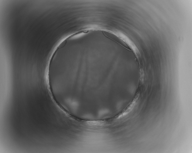 X0000101450863200807280938