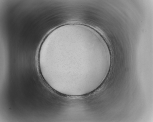 X0000101450864200807280938