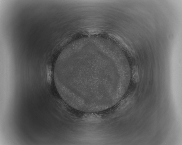 X0000101450866200807280937