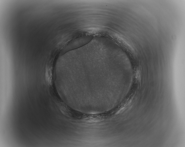 X0000101450868200807280937