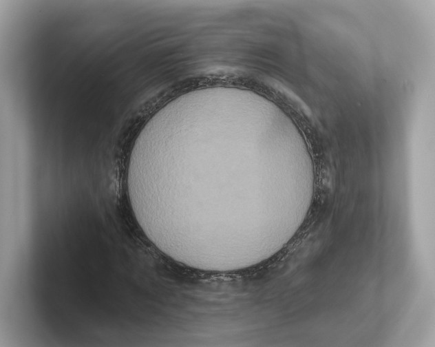 X0000101450869200807280937