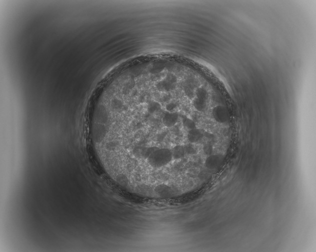 X0000101450871200807280937