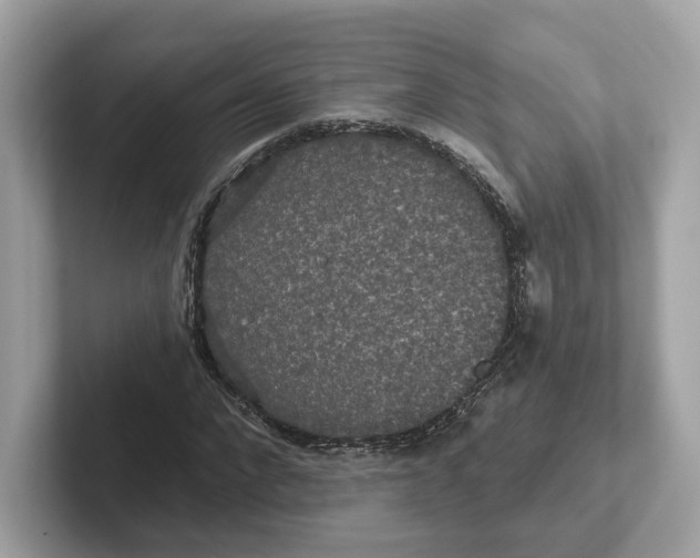 X0000101450872200807280937