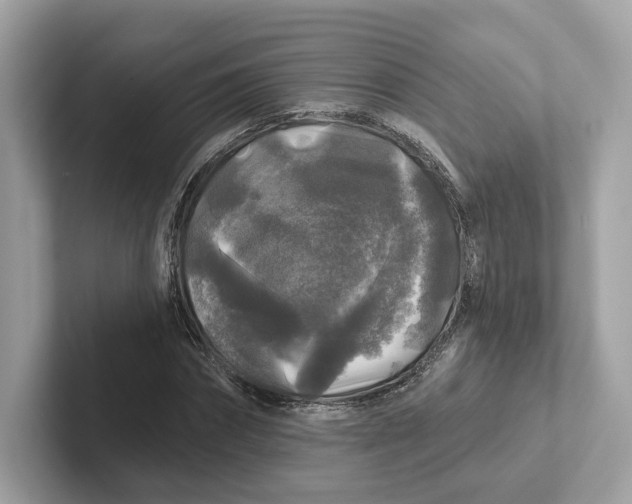 X0000101450874200807280937