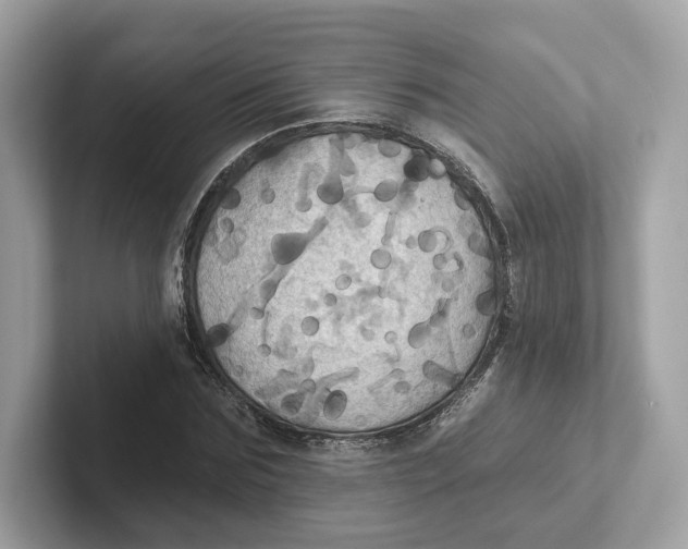 X0000101450875200807280937