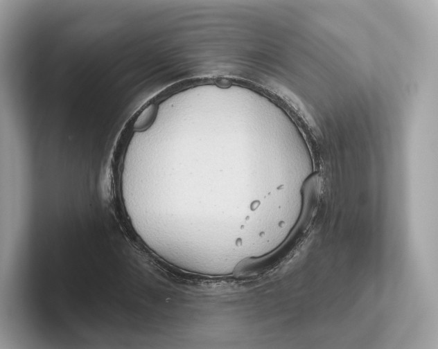 X0000101450876200807280937