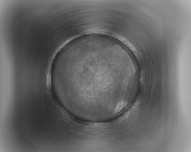 X0000101450877200807280937