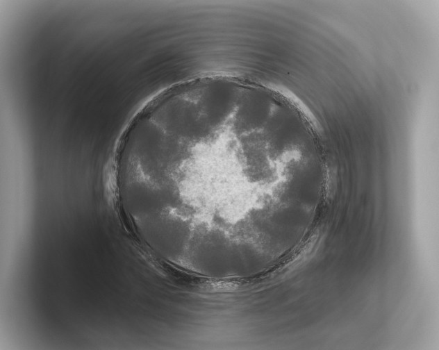 X0000101450878200807280937