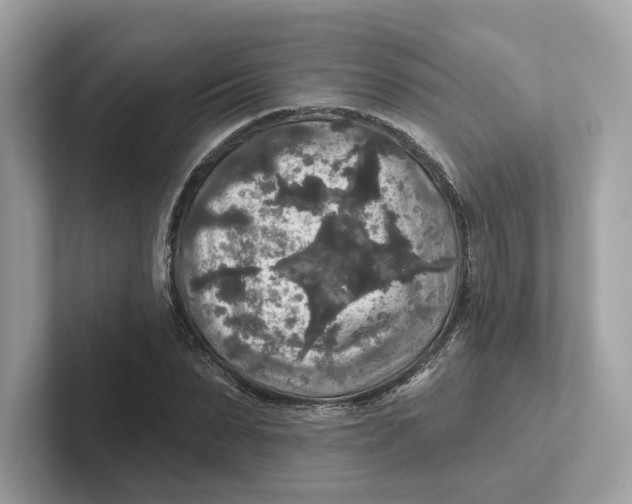 X0000101450879200807280937