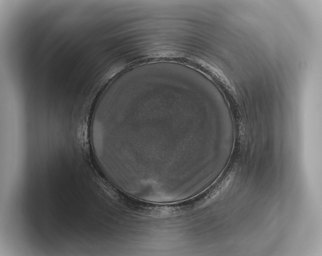 X0000101450881200807280937