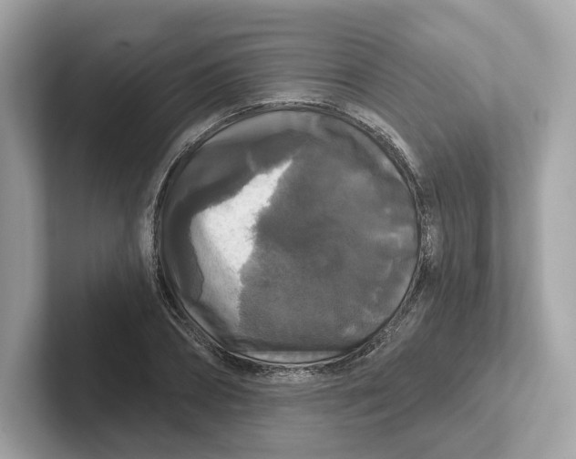 X0000101450882200807280937