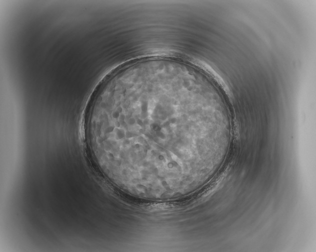 X0000101450883200807280937