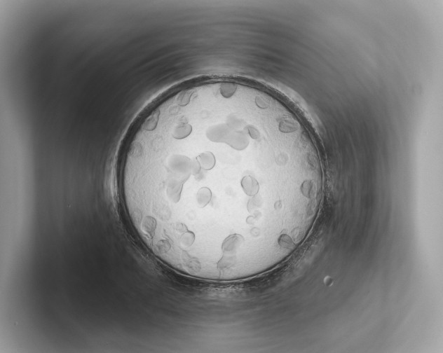 X0000101450887200807280937