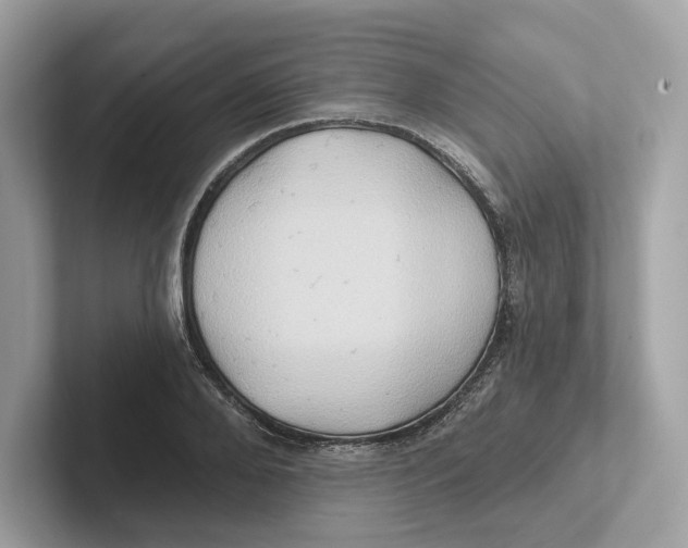 X0000101450888200807280937