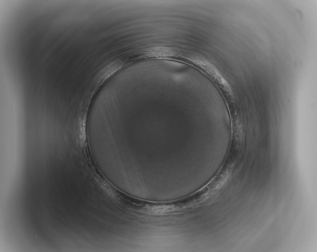 X0000101450889200807280937